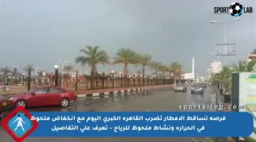 فرصة تساقط الأمطار تضرب القاهرة الكبرى اليوم مع انخفاض ملحوظ في الحرارة ونشاط ملحوظ للرياح – تعرف على التفاصيل